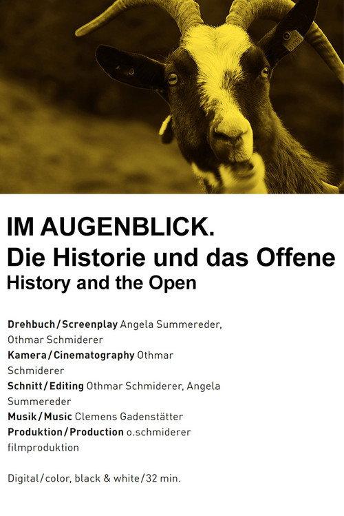 Im Augenblick. Die Historie und das Offene 2013 official movie poster