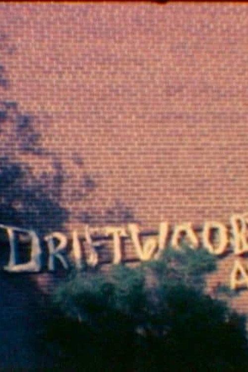 I Dream of Driftwood 2008 official movie poster
