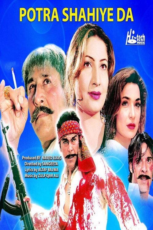 Potra Shahiye Da 2007 official movie poster