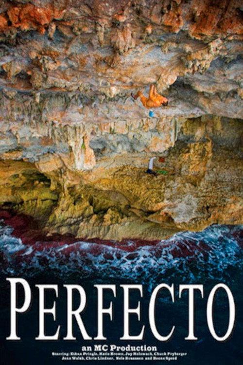 Perfecto 2008 official movie poster