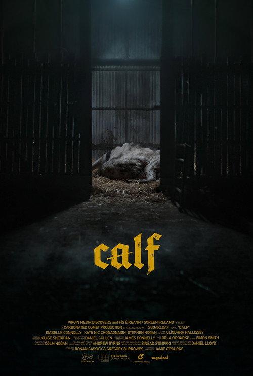 Calf 2023 official movie poster