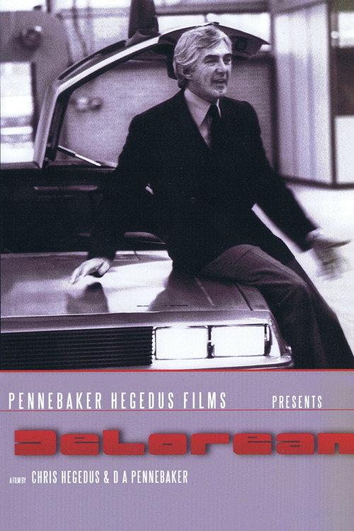 DeLorean 1981 official movie poster