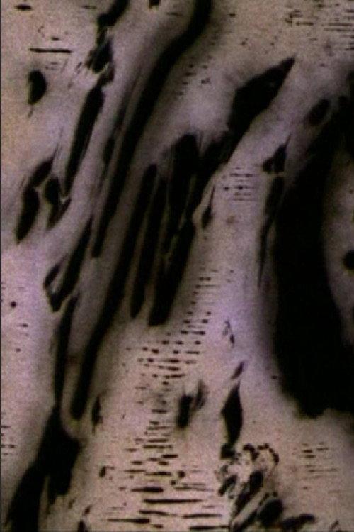 Motion of Light 2004 official movie poster