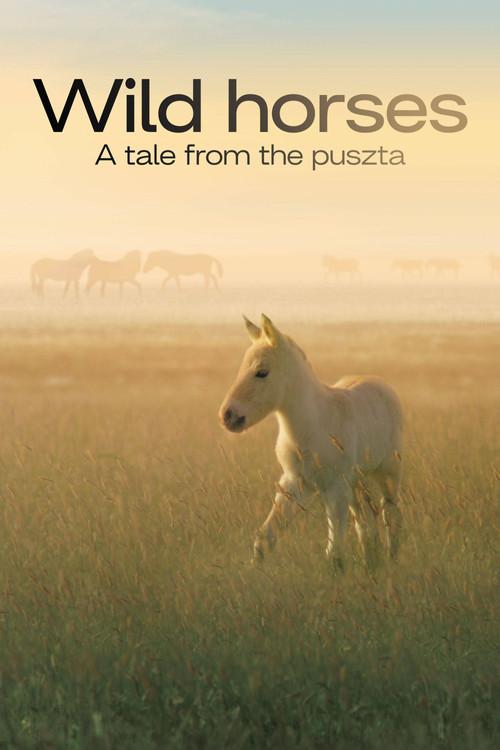 Wild Horses - A Tale From The Puszta 2021 official movie poster