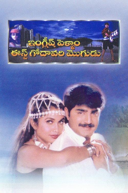 English Pellam East Godavari Mogudu 1999 official movie poster