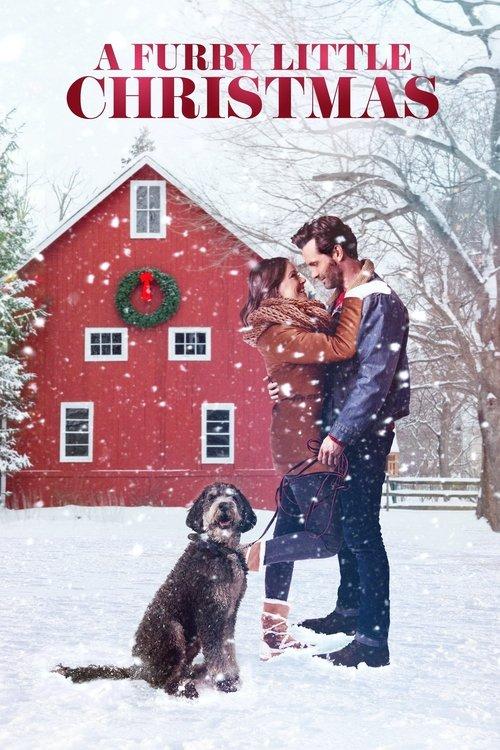A Furry Little Christmas 2021 official movie poster