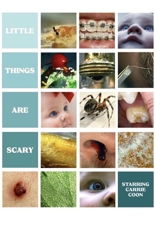 Little Things Are Scary 2023 official movie poster