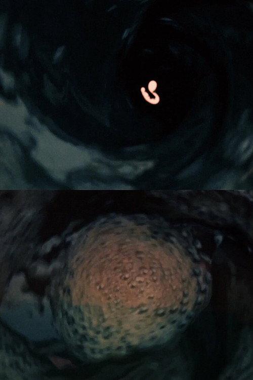 The Whirlpool 1969 official movie poster