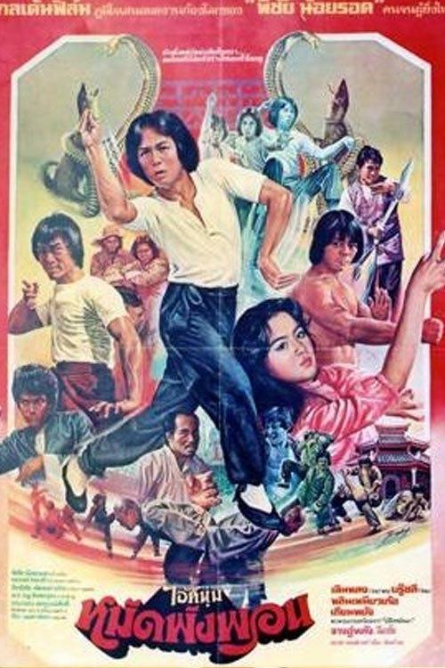 Fearless Master 1980 official movie poster