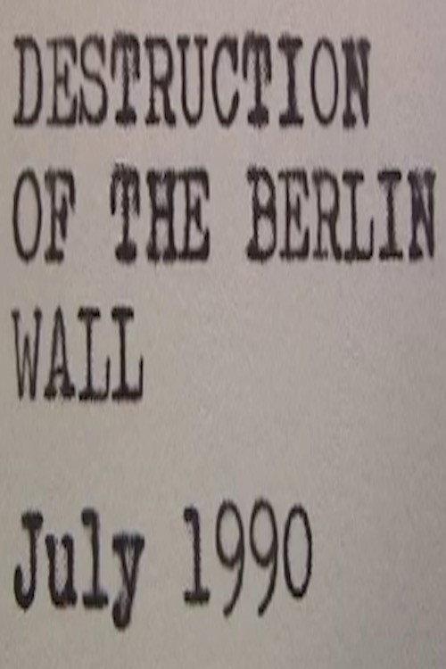 Destruction of the Berlin Wall 2006 official movie poster