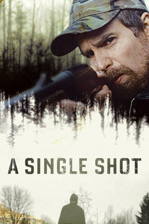 A Single Shot 2013 official movie poster