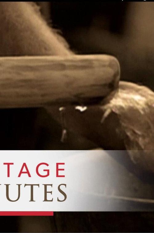 Heritage Minutes: Water Pump 1995 official movie poster