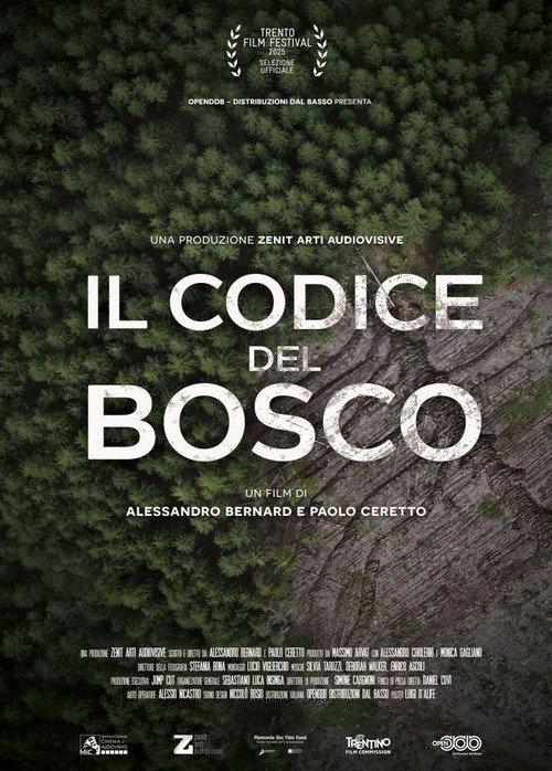 The Forest Code 2025 official movie poster