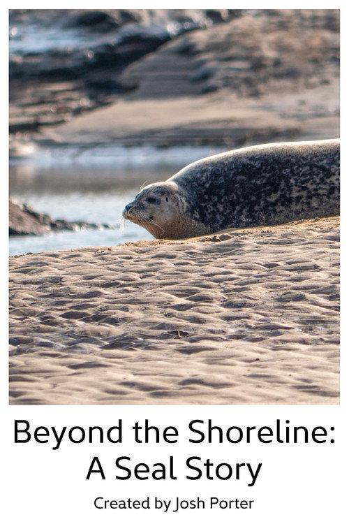 Beyond the Shoreline: A Seal Story 2023 official movie poster