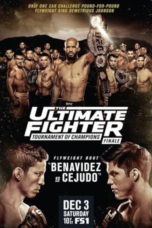 The Ultimate Fighter 24 Finale 2016 official movie poster