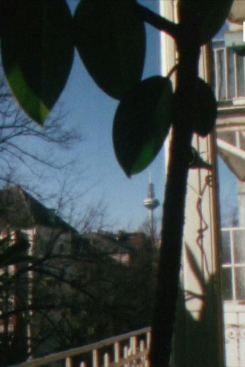 Views I + II 1990 official movie poster