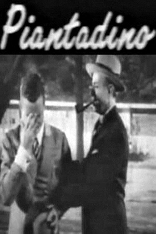 Piantadino 1950 official movie poster