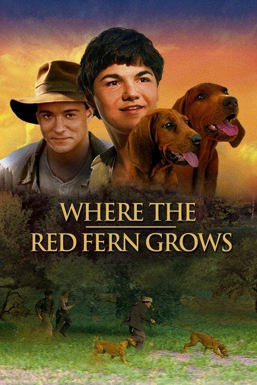 Where the Red Fern Grows 2003 official movie poster