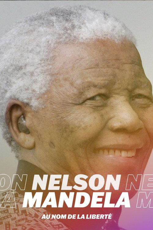 Nelson Mandela, au nom de la liberté 2010 official movie poster