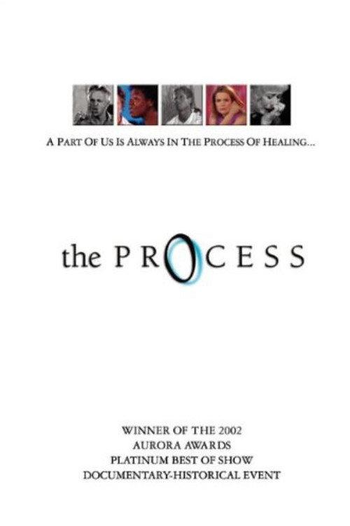The Process 2003 official movie poster
