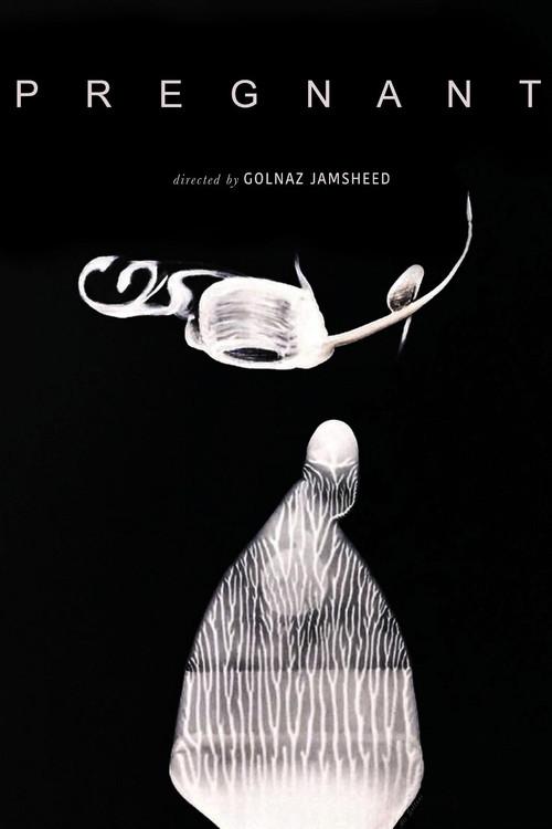Pregnant 2022 official movie poster
