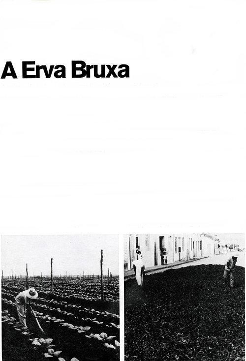 A Erva Bruxa 1970 official movie poster