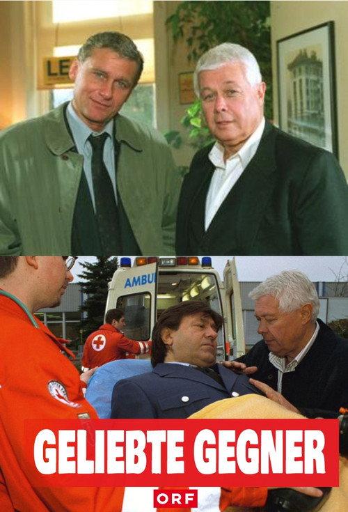 Geliebte Gegner 1998 official movie poster
