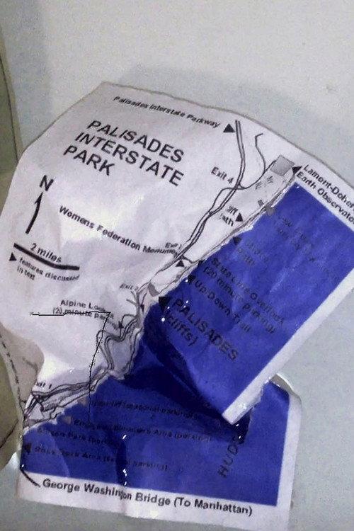 Palisades in Palisades 2014 official movie poster