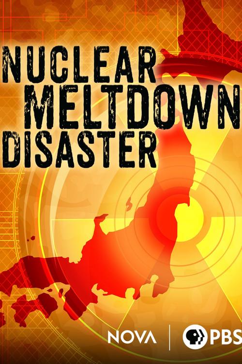 Nuclear Meltdown Disaster 2015 official movie poster