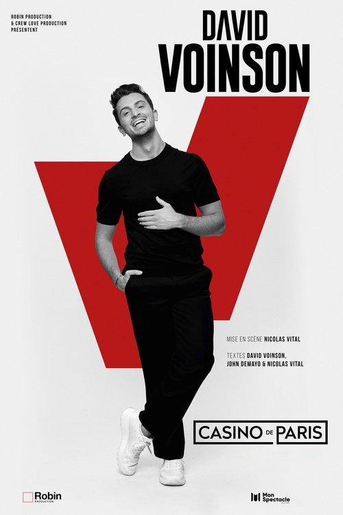 David Voinson 2024 official movie poster