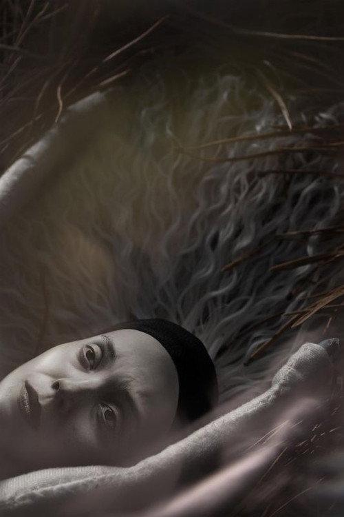 In Perpetuum 2023 official movie poster