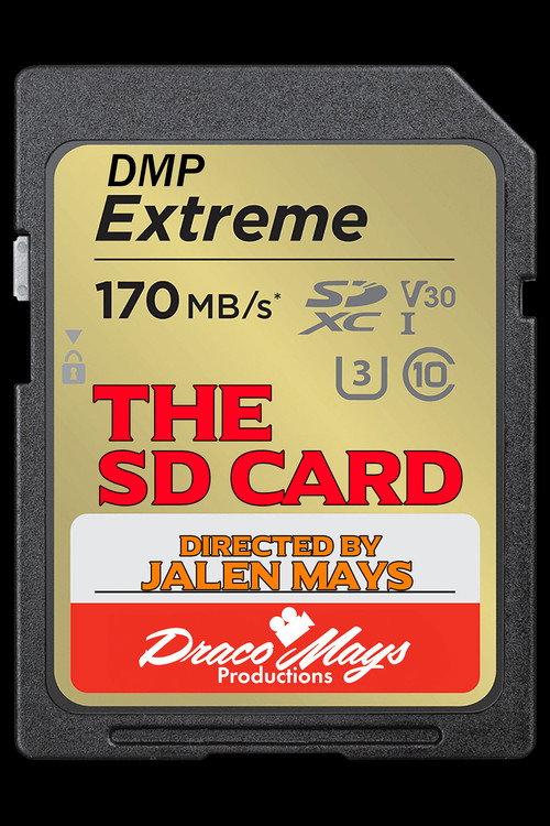 The SD Card 2024 official movie poster