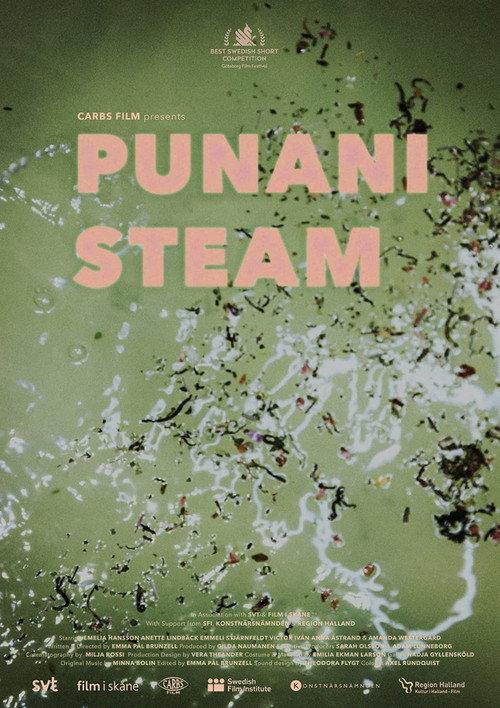 Punani Steam 2021 official movie poster