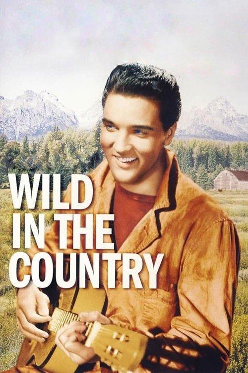 Wild in the Country 1961 official movie poster