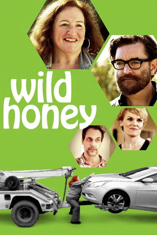 Wild Honey 2017 official movie poster