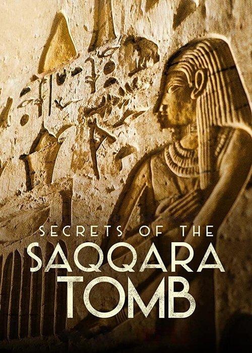 Secrets of the Saqqara Tomb 2020 official movie poster