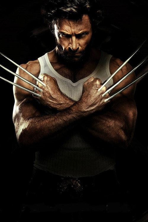 The Roots of Wolverine: A Conversation with Stan Lee and Len Wein 2009 official movie poster
