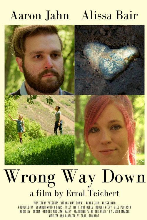 Wrong Way Down  official movie poster
