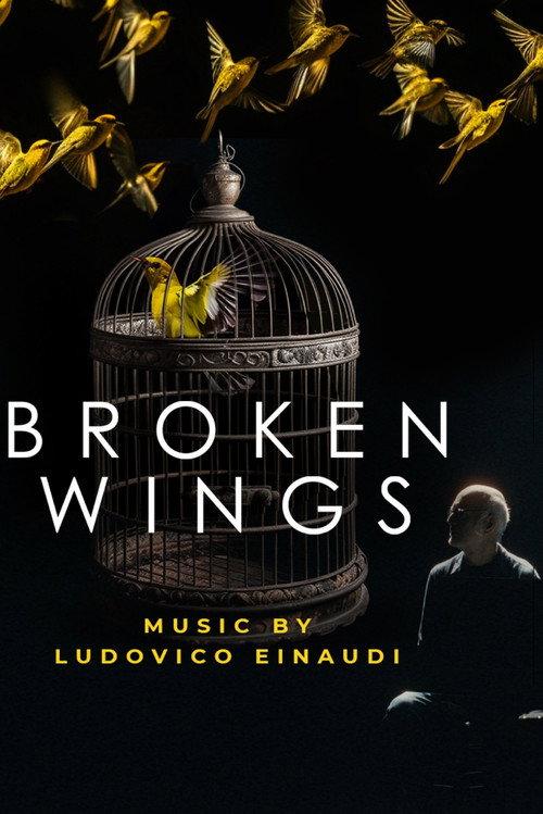 Broken Wings 2025 official movie poster