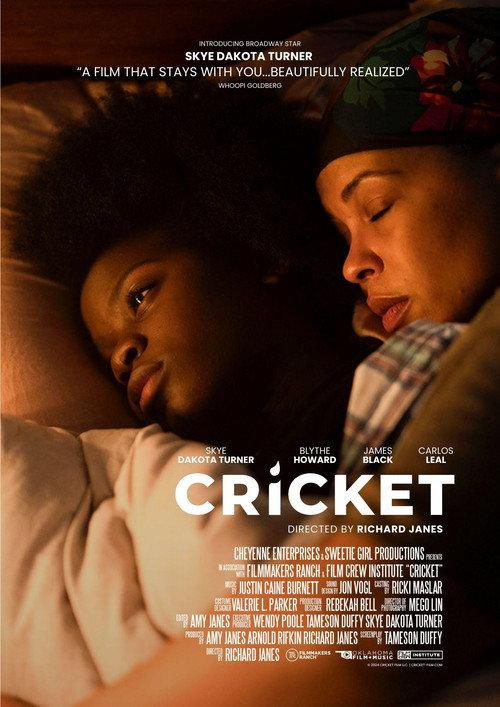 Cricket 2024 official movie poster