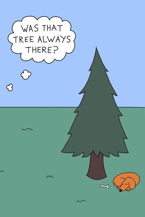 Was That Tree Always There? 2025 official movie poster