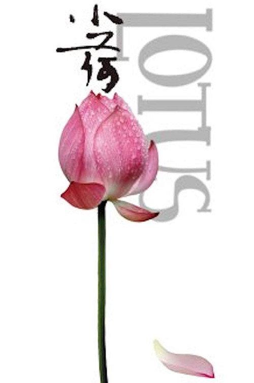 Lotus 2012 official movie poster