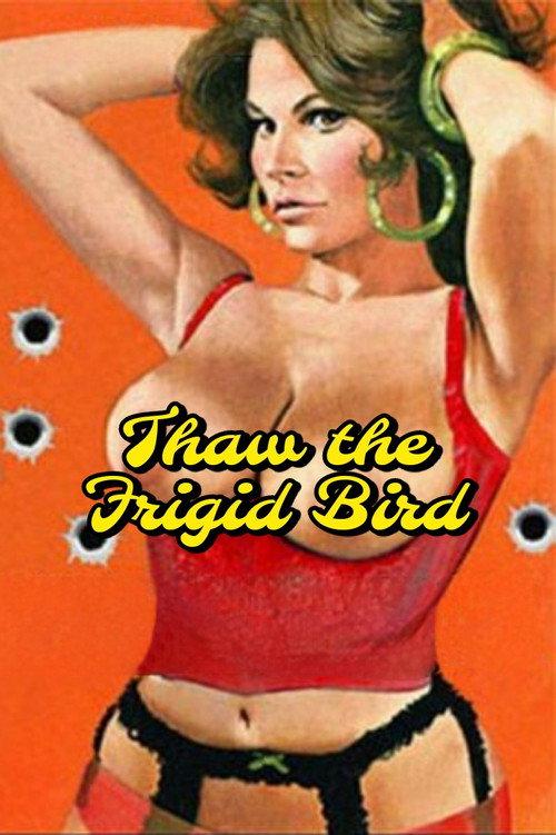 Thaw the Frigid Bird 1970 official movie poster
