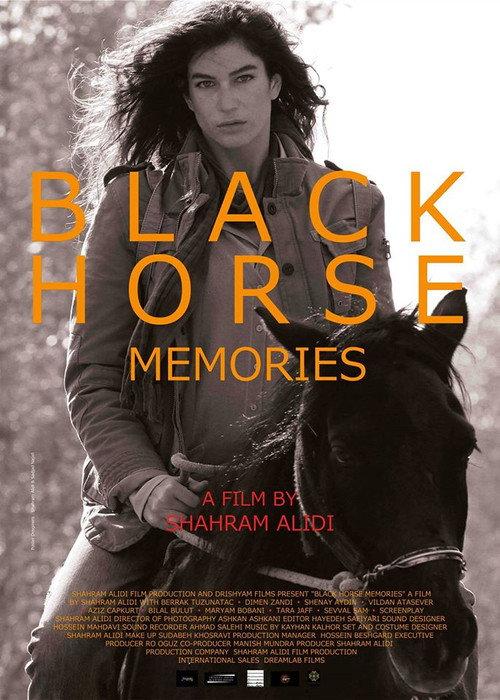 Black Horse Memories 2015 official movie poster