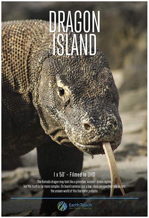 Dragon Island 2016 official movie poster