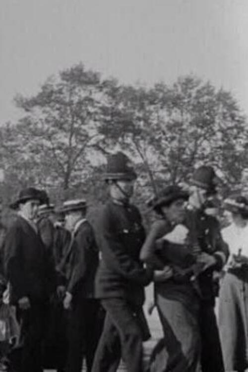 Palace Pandemonium 1914 official movie poster