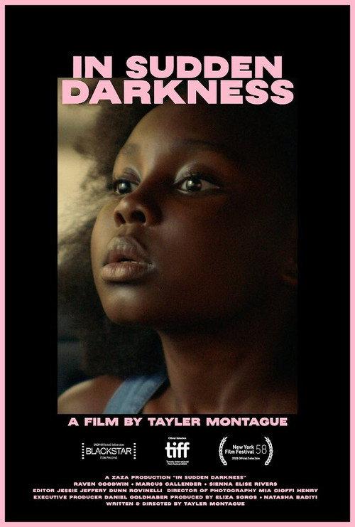 In Sudden Darkness 2020 official movie poster