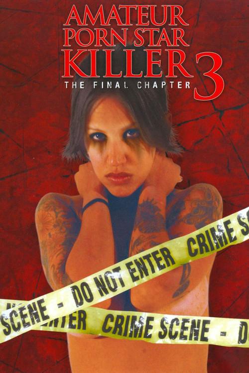 Amateur Porn Star Killer 3: The Final Chapter 2009 official movie poster