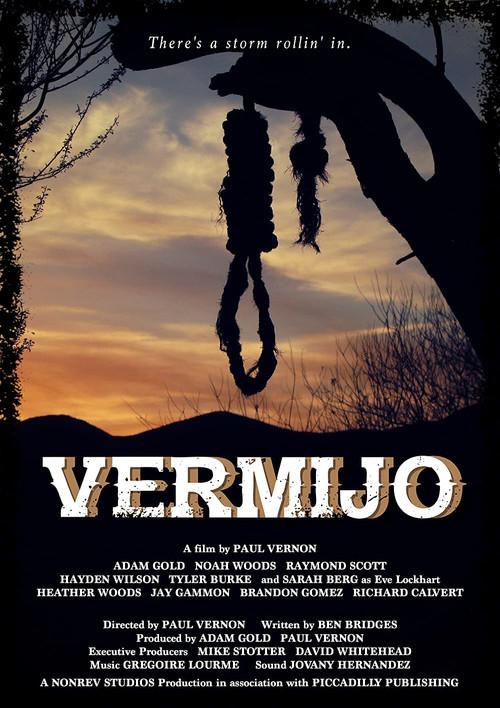 Vermijo 2017 official movie poster