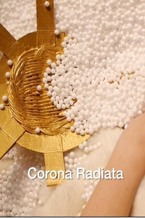 Corona Radiata 2017 official movie poster